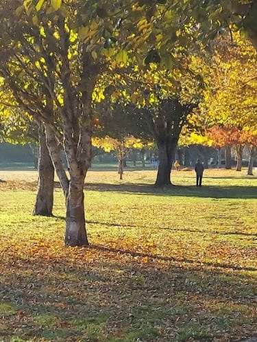 Minto-Brown Island Dog Park