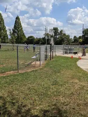 Pitner Dog Park