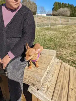 Pitner Dog Park