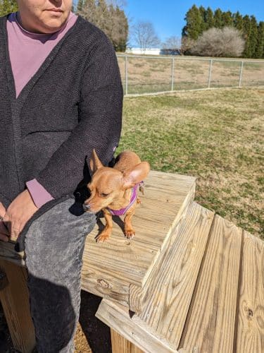 Pitner Dog Park