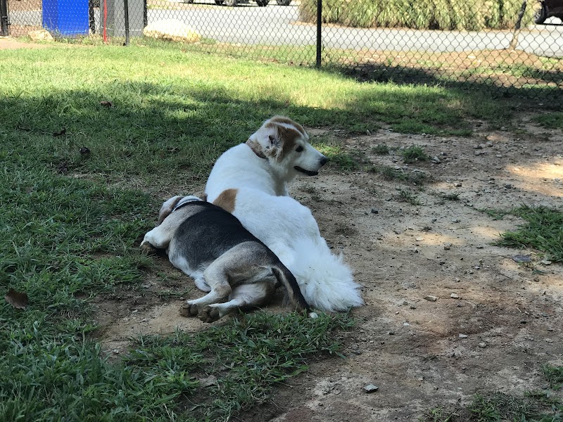 Precious 9 Memorial Dog Park