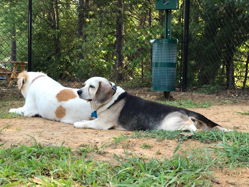 Precious 9 Memorial Dog Park