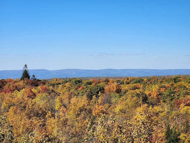 Forbes State Forest - Mount Davis Natural Area - Salisbury, PA