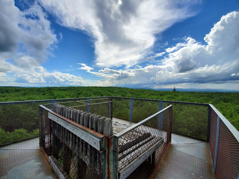 Forbes State Forest - Mount Davis Natural Area - Salisbury, PA