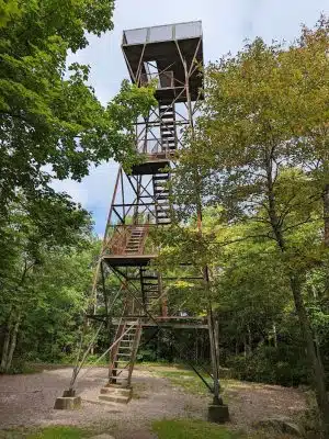 Forbes State Forest - Mount Davis Natural Area