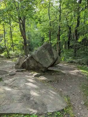 Forbes State Forest - Mount Davis Natural Area