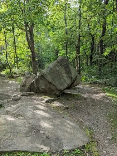 Forbes State Forest - Mount Davis Natural Area - Salisbury, PA