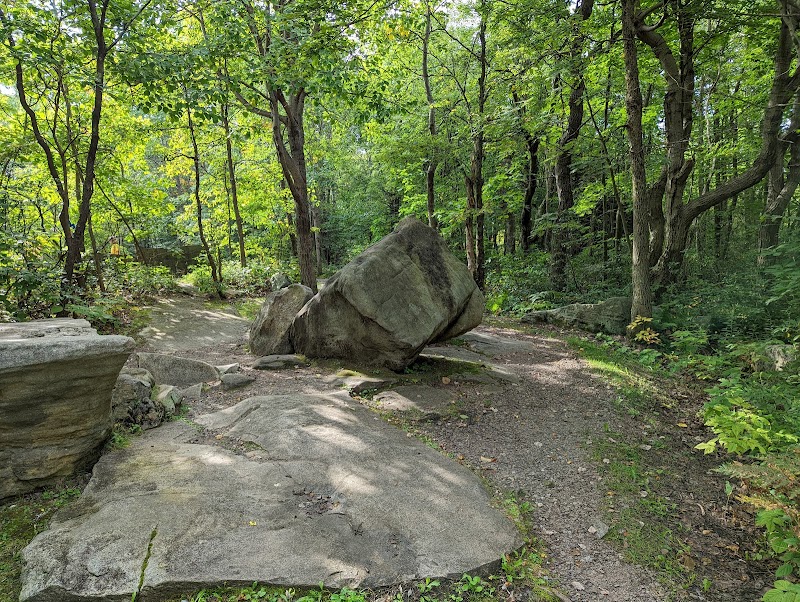 Forbes State Forest - Mount Davis Natural Area - Salisbury, PA
