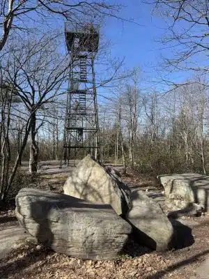 Forbes State Forest - Mount Davis Natural Area