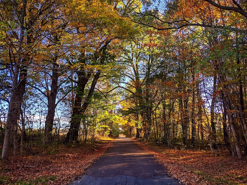 Forbes State Forest - Mount Davis Natural Area - Salisbury, PA