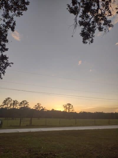 Rosewood Dog Park - San Antonio, FL