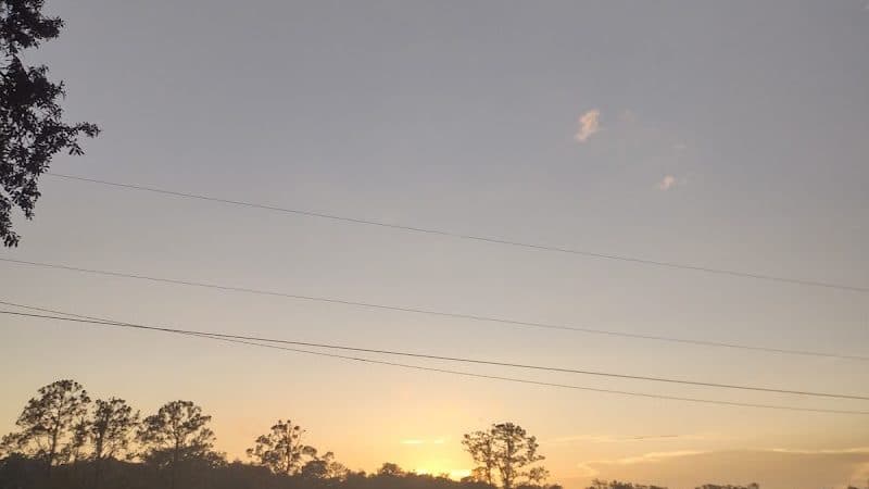 Rosewood Dog Park - San Antonio, FL