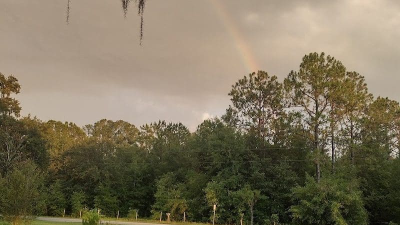 Rosewood Dog Park - San Antonio, FL