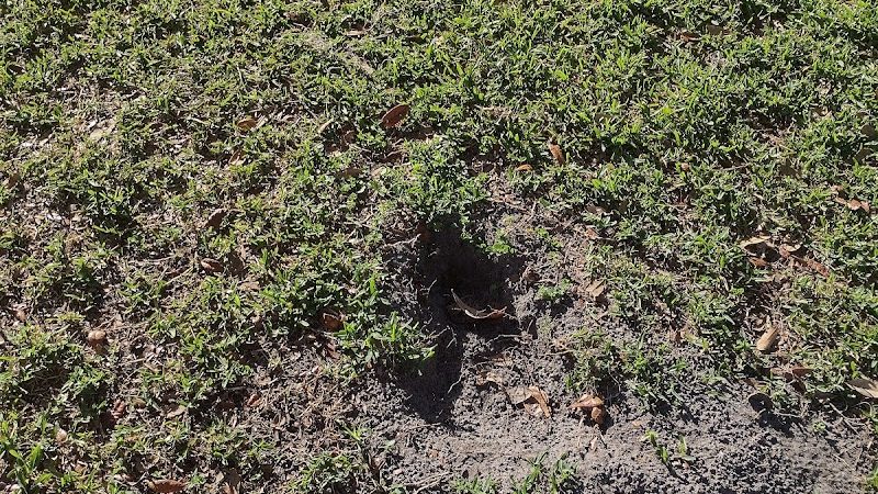 Rosewood Dog Park - San Antonio, FL