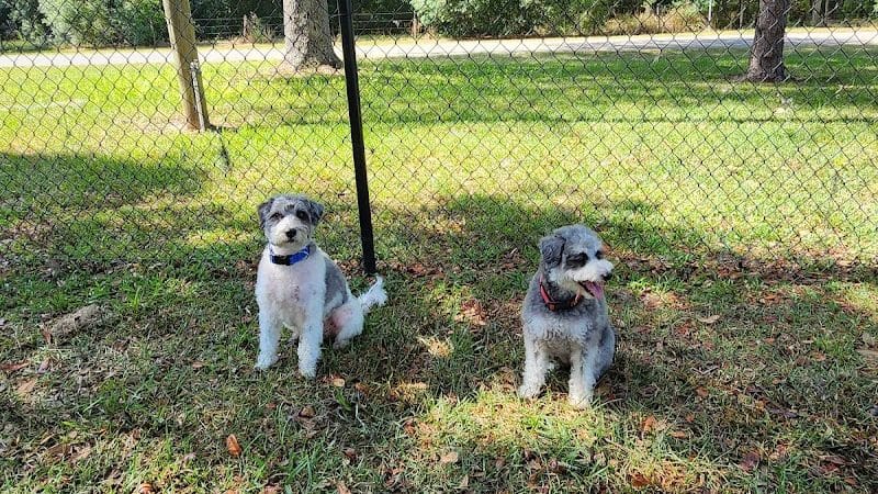 Rosewood Dog Park - San Antonio, FL