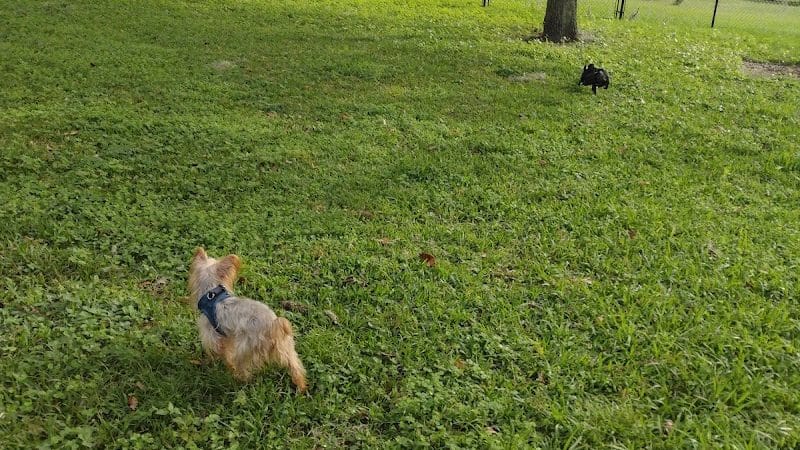Rosewood Dog Park - San Antonio, FL