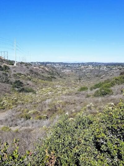 Torrey Highlands Dog Park - San Diego, CA