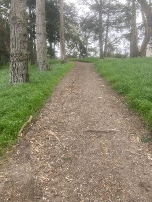 GGP Dog Play Area 1