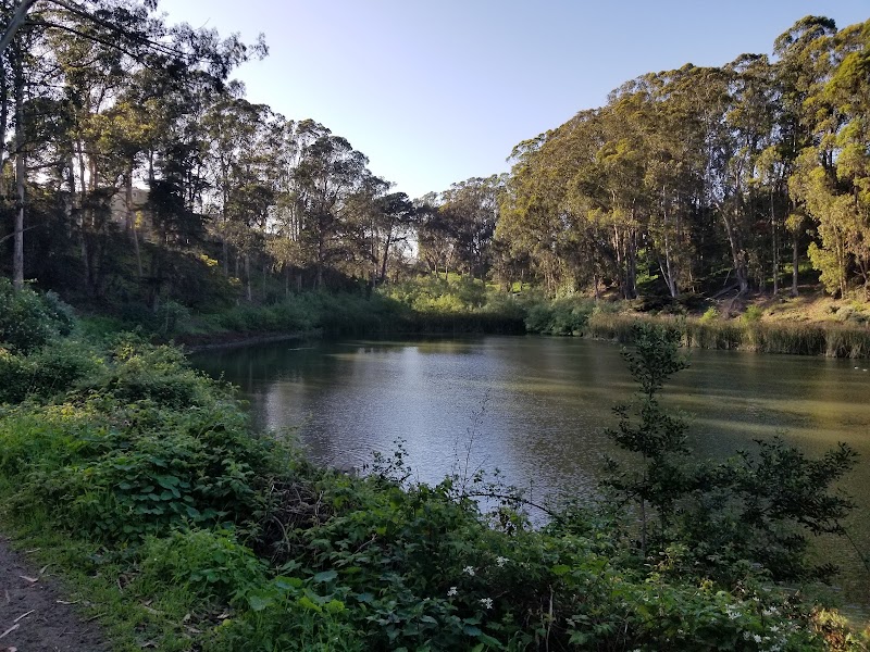 Pine Lake Park - San Francisco, CA