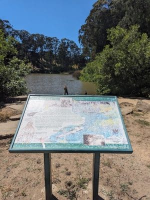 Pine Lake Park