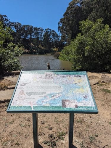 Pine Lake Park