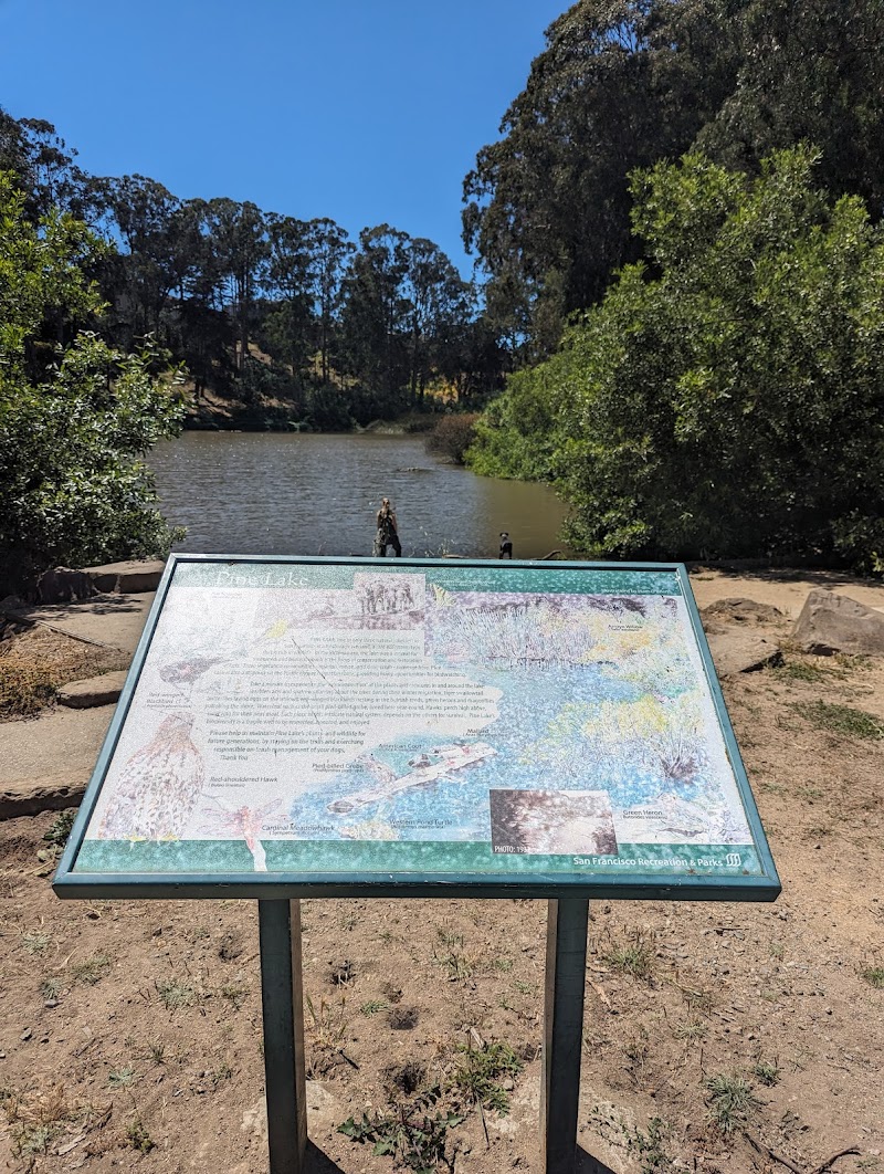 Pine Lake Park - San Francisco, CA