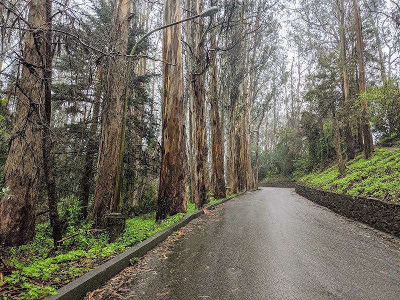 Pine Lake Park - San Francisco, CA