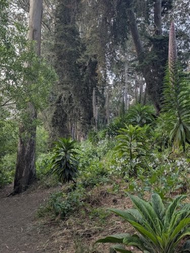 Pine Lake Park