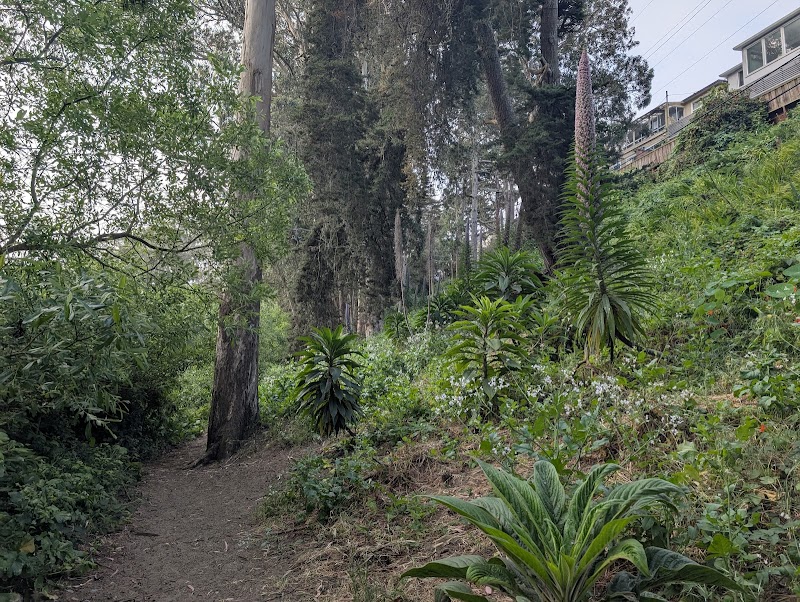 Pine Lake Park - San Francisco, CA