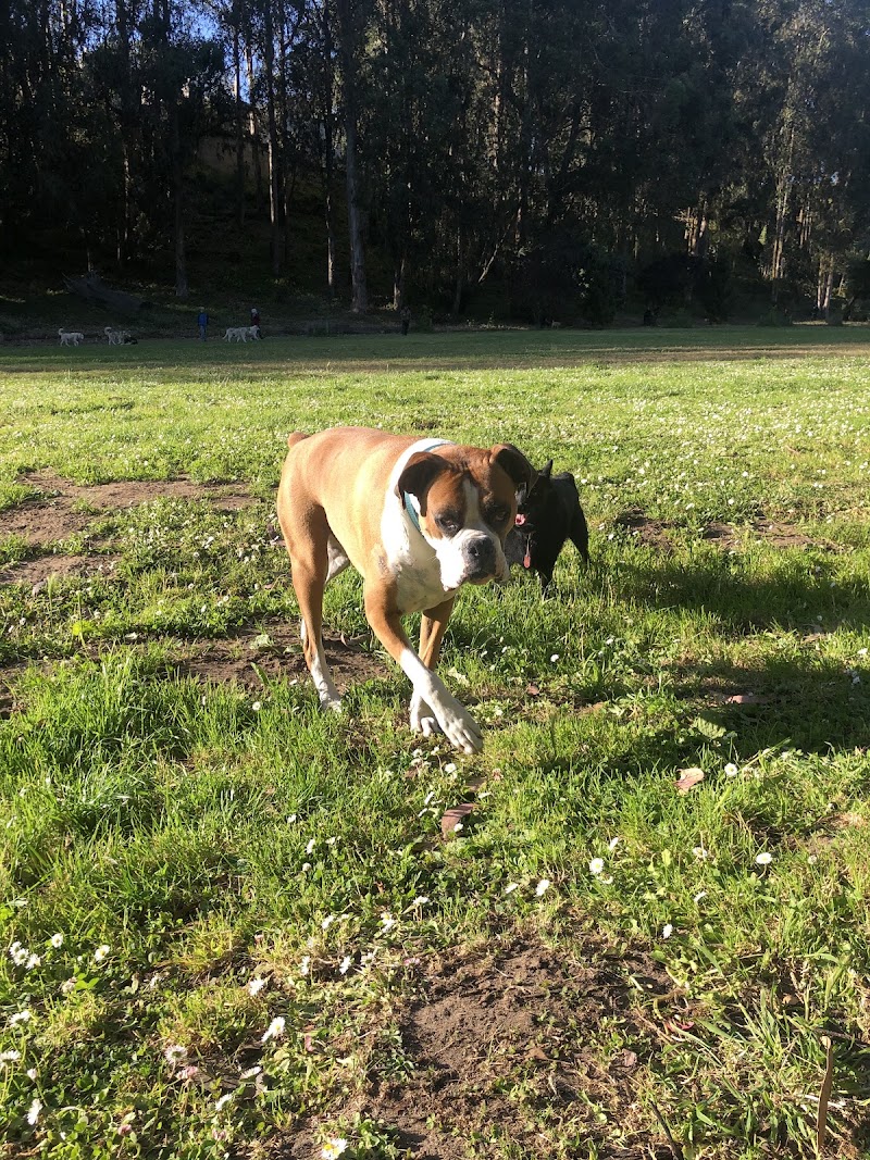 Pine Lake Park - San Francisco, CA