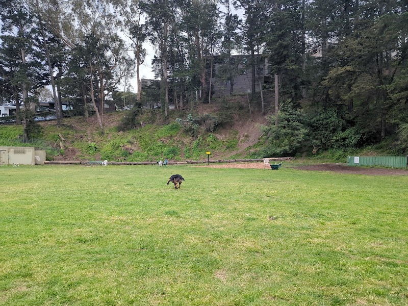 Upper Douglass Dog Play Area - San Francisco, CA