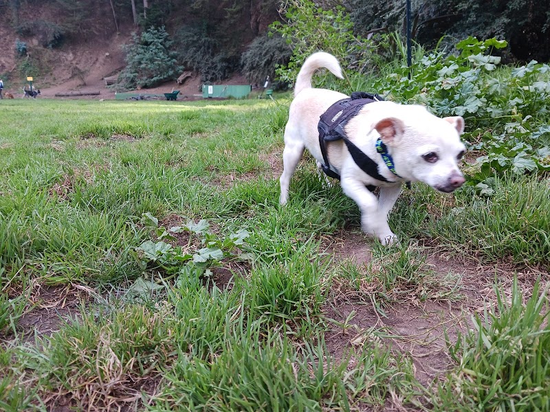 Upper Douglass Dog Play Area - San Francisco, CA