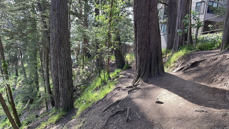 Upper Douglass Dog Play Area - San Francisco, CA