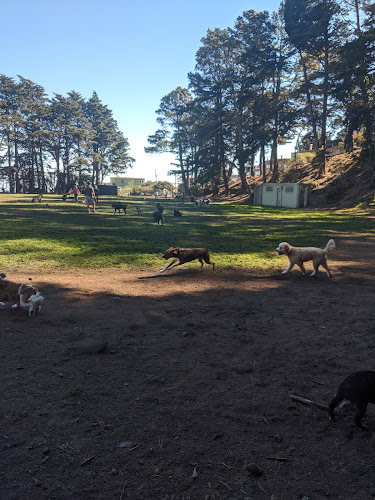 Upper Douglass Dog Play Area