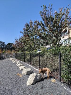 Brotherhood Mini Dog Park