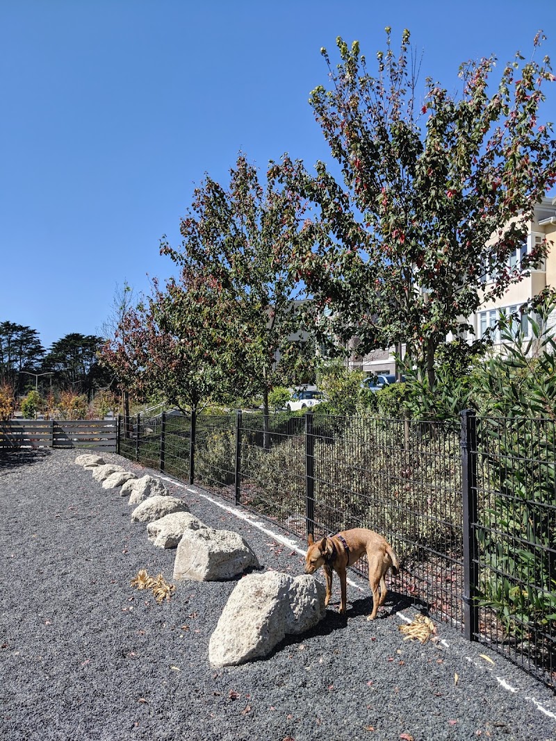 Brotherhood Mini Dog Park - San Francisco, CA