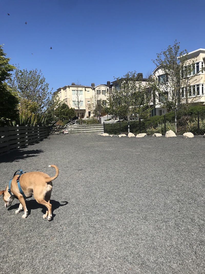 Brotherhood Mini Dog Park - San Francisco, CA