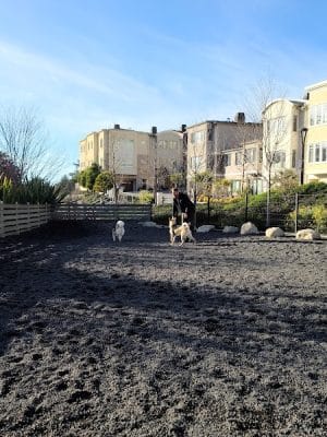 Brotherhood Mini Dog Park