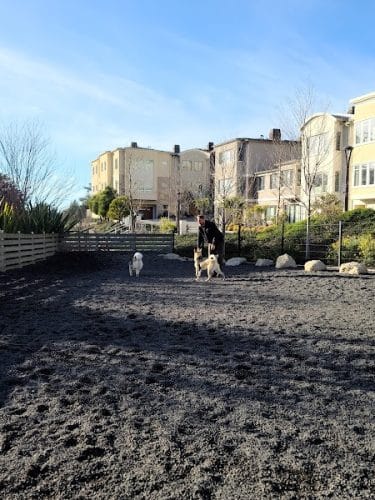 Brotherhood Mini Dog Park