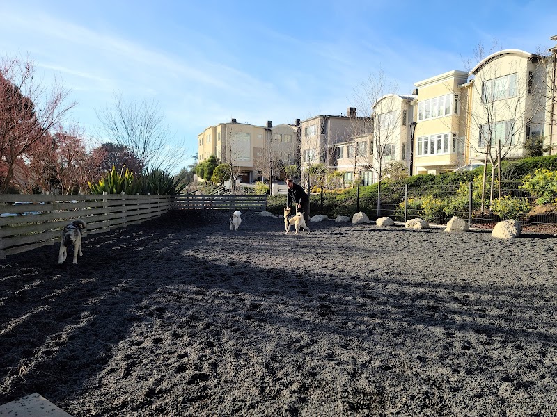Brotherhood Mini Dog Park - San Francisco, CA