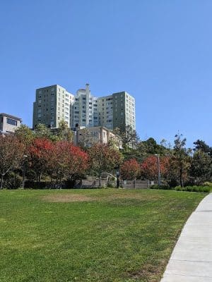 Brotherhood Mini Dog Park