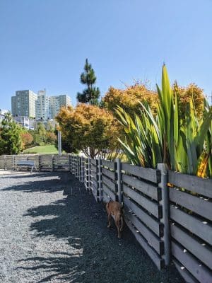 Brotherhood Mini Dog Park