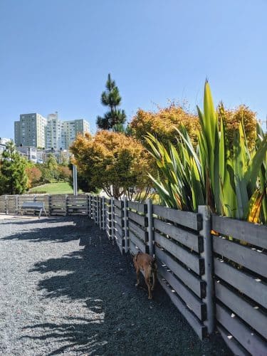 Brotherhood Mini Dog Park