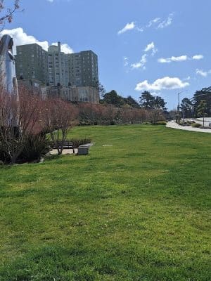 Brotherhood Mini Dog Park