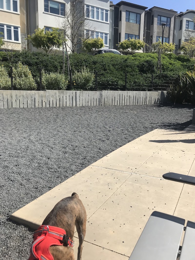 Brotherhood Mini Dog Park - San Francisco, CA