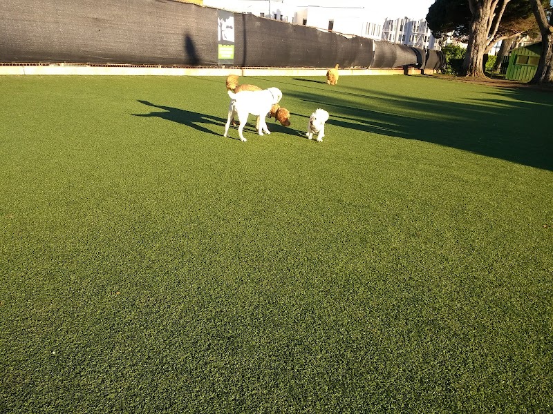 Dog Park | Moscone Park - San Francisco, CA