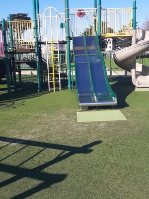 Dog Park | Moscone Park
