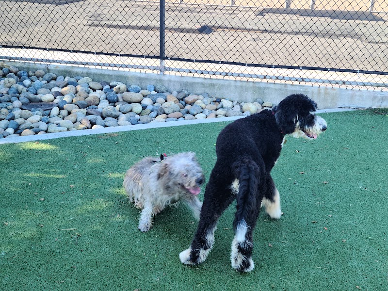 Dog Park | Moscone Park - San Francisco, CA