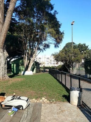 Dog Park | Moscone Park