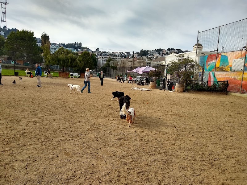Eureka Valley Dog Play Area - San Francisco, CA